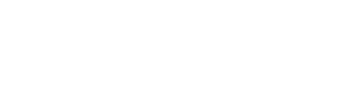 Savage Arms